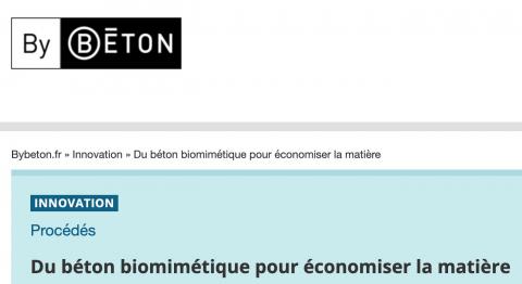By Béton / Du béton biomimétique pour économiser la matière