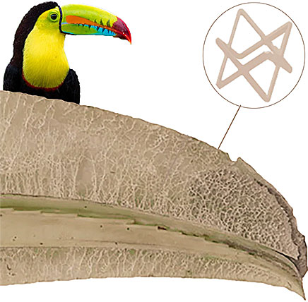 Evolution achieves maximum strength